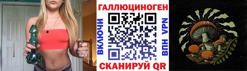 Псилоцибиновые грибы Psilocybine cubensis  Нефтекамск 